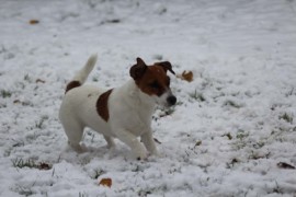 IMG 4798